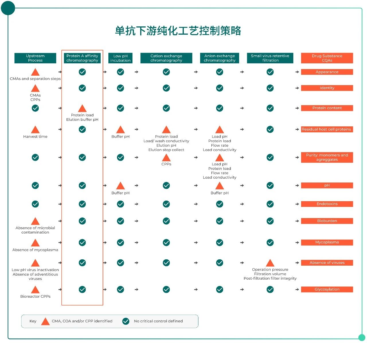 CMA Assessment of Chromatography Resins-pic-02